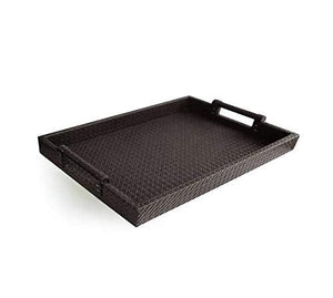 Serving Tray with Handles - Decorative Tray Ideal for Ottoman, Coffee Table, Perfume Set, Living Room, Dining Room, Jewelry - Black - Le'raze by G&L Decor Inc