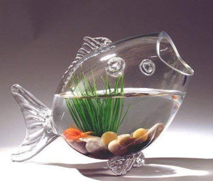 Glass Fish Bowl, Unique Candy Bowl - Serving Bowl, Terrarium Centerpiece Table Decor Ideal Gift for Weddings and Spa - 9.5" L - Le'raze Decor