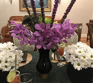 Le'raze Elegant Glass Vase for Flowers - Black Vase with Gold Base, Home Decor or Wedding Centerpiece - Le'raze by G&L Decor Inc